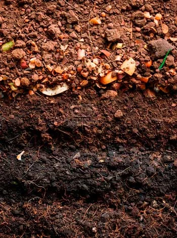 SOLMEDIAT-COMPOSTAJE-TIERRA