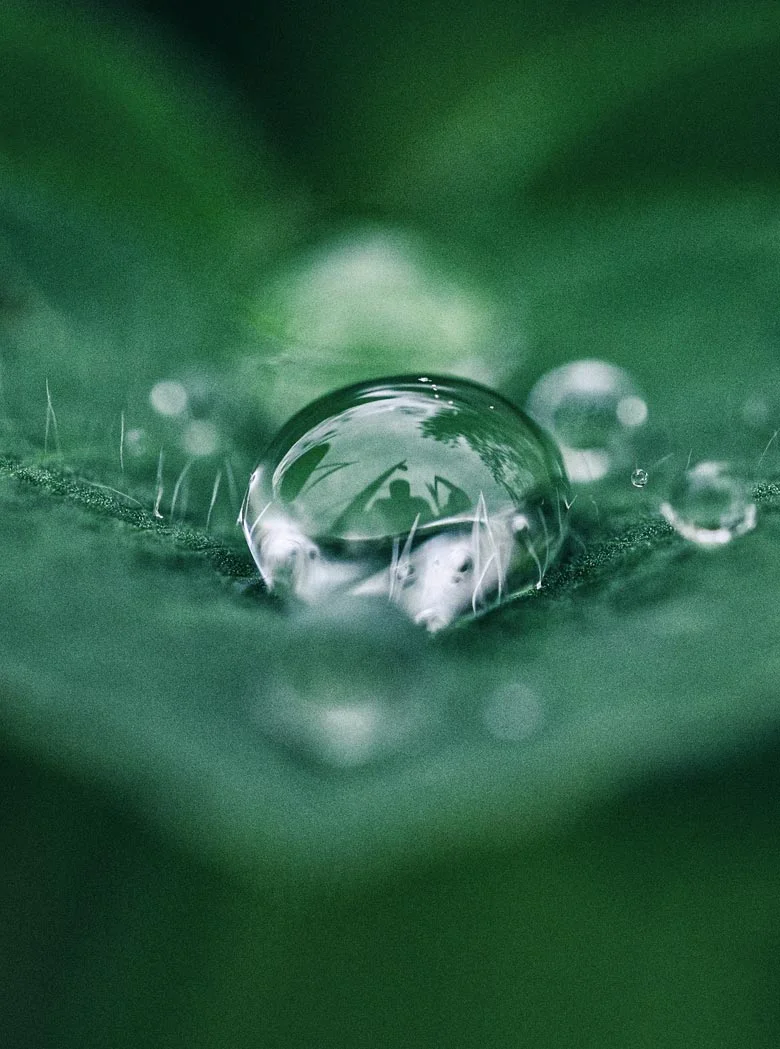 SOLMEDIAT HOJA CON GOTA DE AGUA